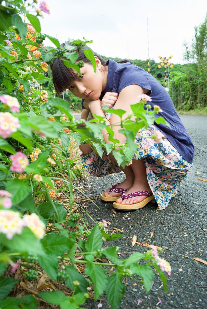 红杏枝头